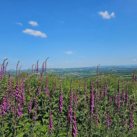 Summit Camping Kit Hill Cornwall Panoramic Views Grass Pitch From 15Pn Or Bella Bell Tent 75Pn Callington Extérieur photo