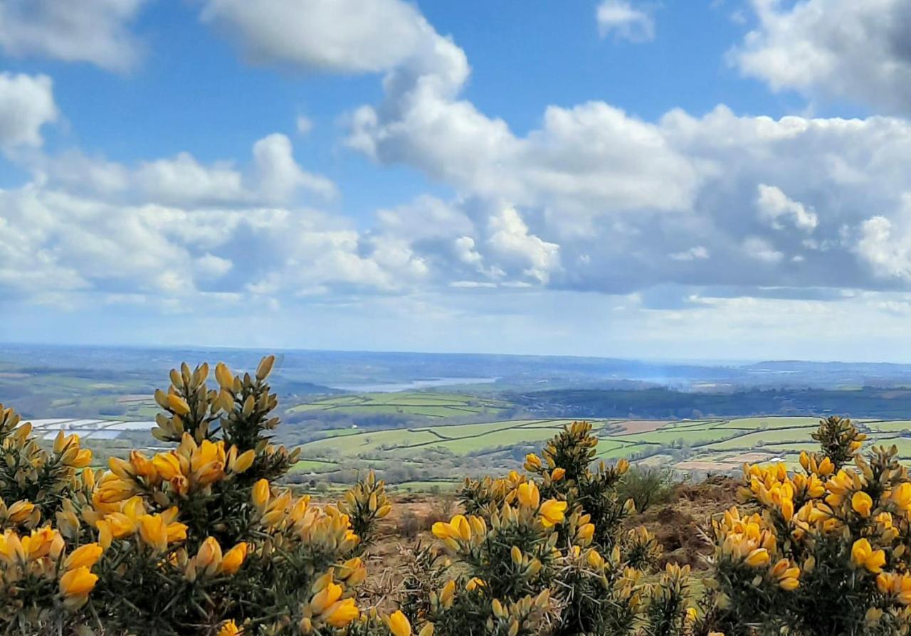 Summit Camping Kit Hill Cornwall Panoramic Views Grass Pitch From 15Pn Or Bella Bell Tent 75Pn Callington Extérieur photo