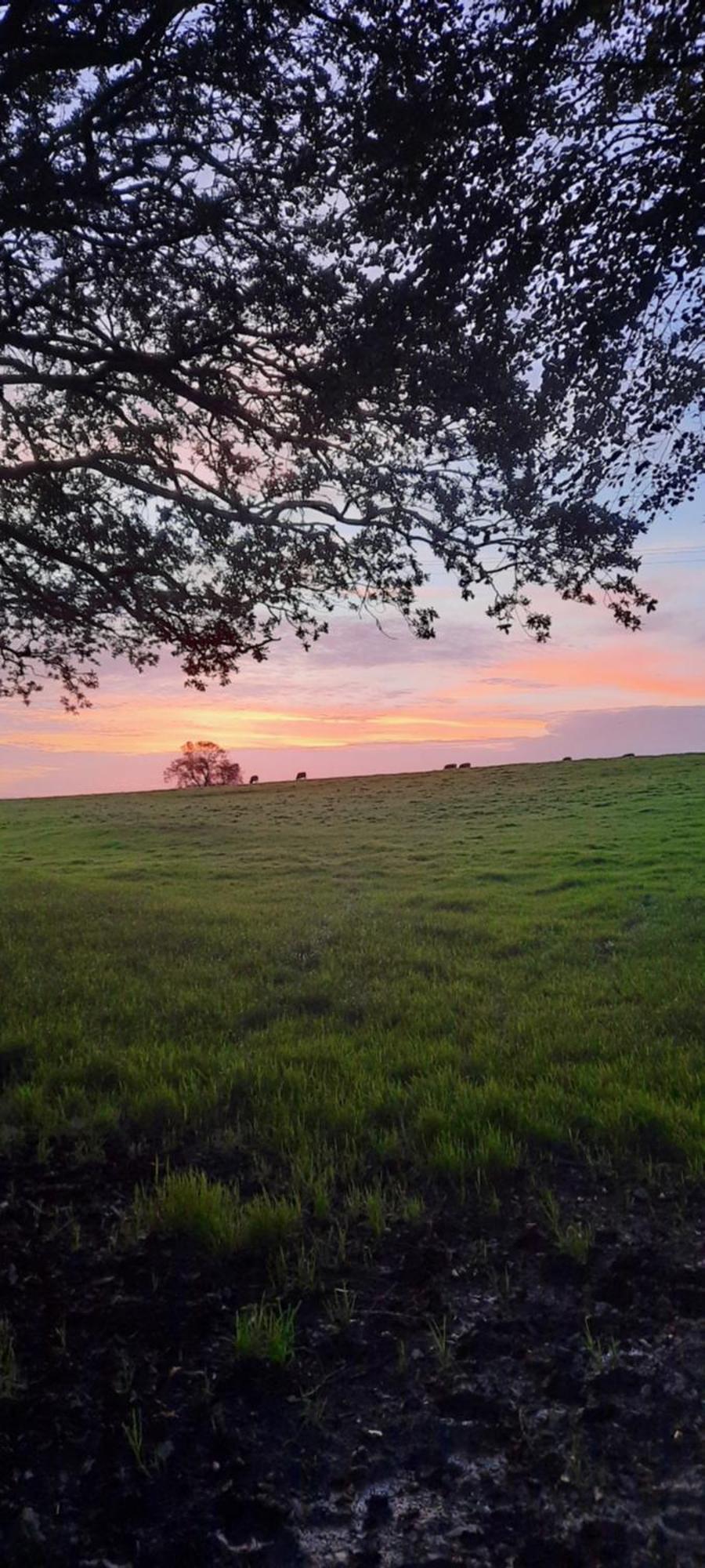 Summit Camping Kit Hill Cornwall Panoramic Views Grass Pitch From 15Pn Or Bella Bell Tent 75Pn Callington Extérieur photo
